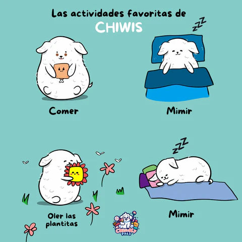 Las actividades favoritas de Chiwis.