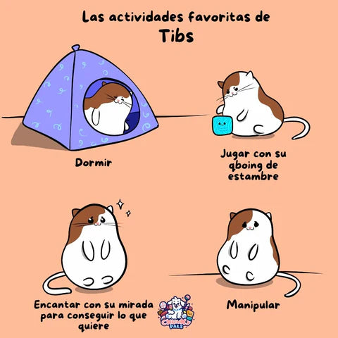 Las actividades favoritas de Tibs.